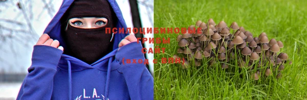 скорость Яранск