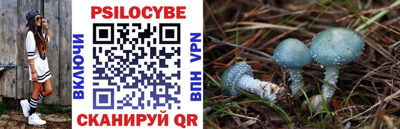 Купить где  Ак-Довурак  Псилоцибиновые грибы GOLDEN TEACHER 